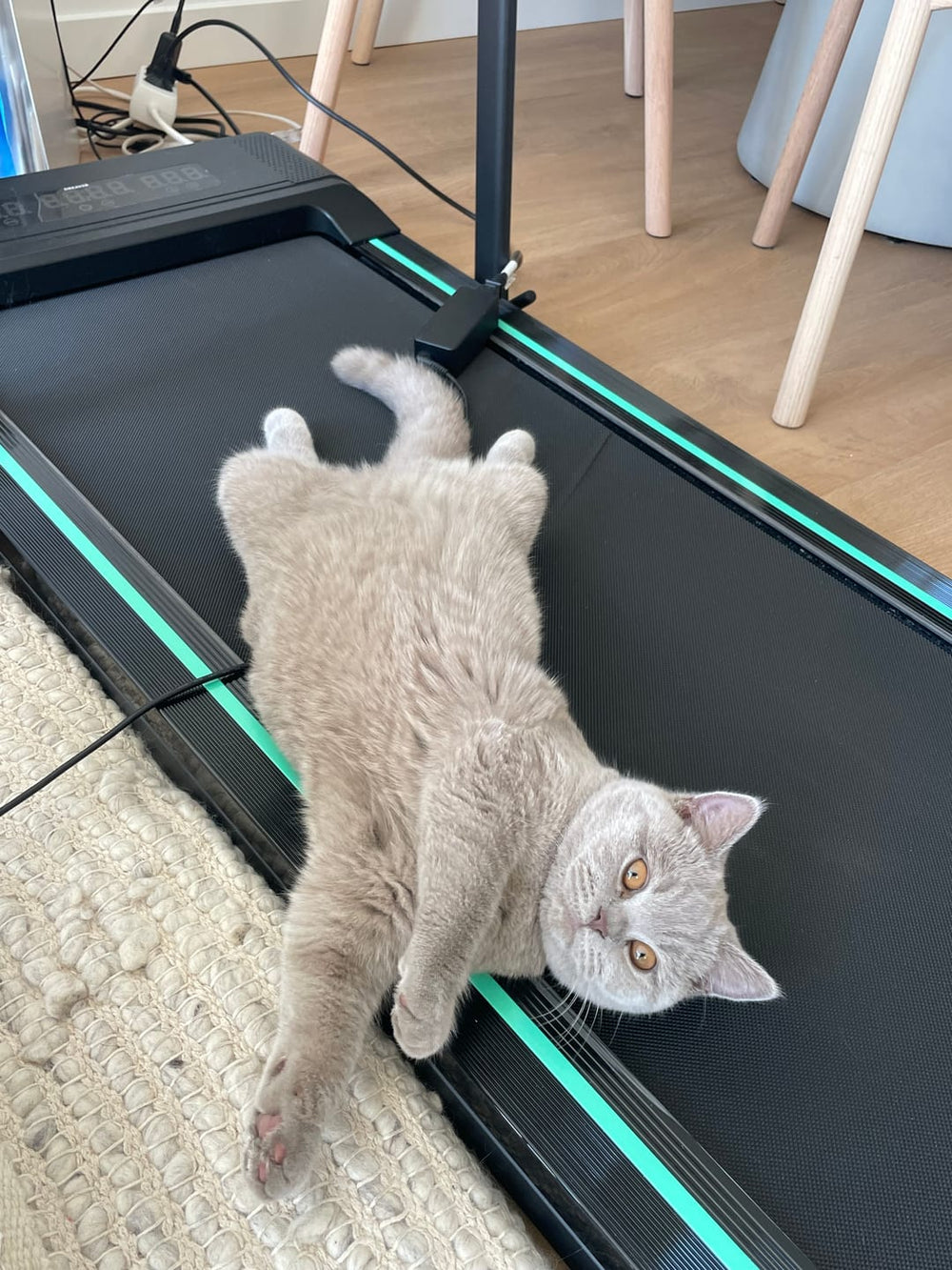 Faire du sport avec un TDAH : pourquoi un tapis de course est un changeur de jeu