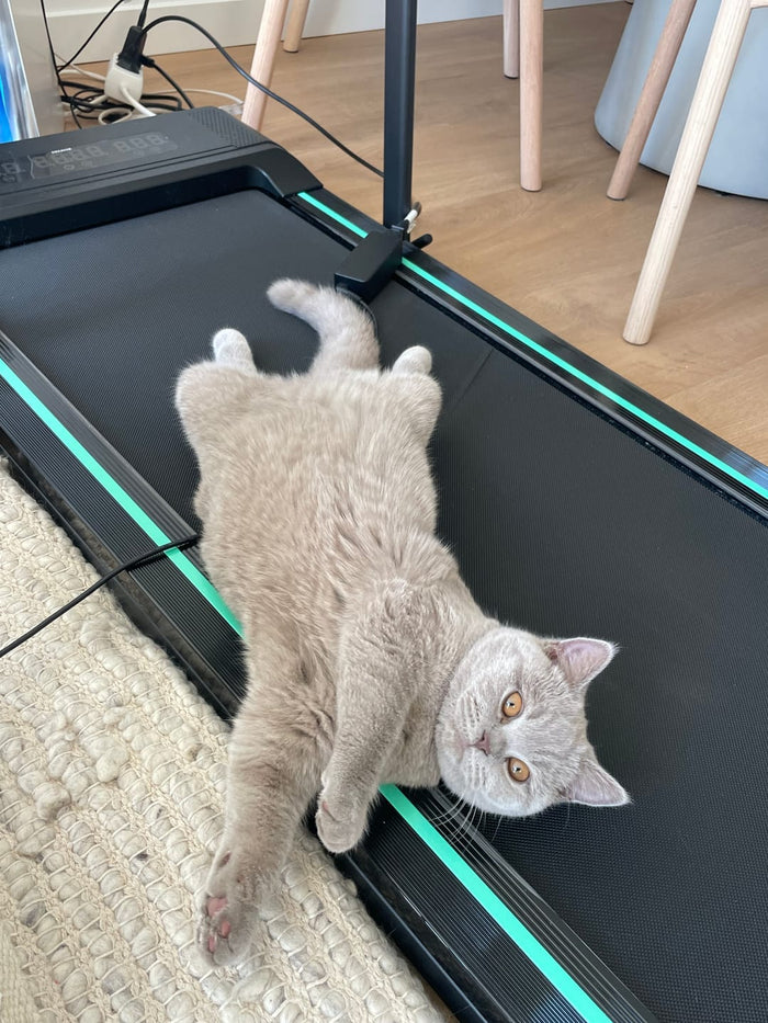 Sport treiben mit ADHS: Warum ein Laufband ein echter Wendepunkt ist